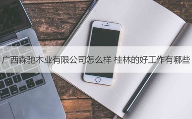 廣西森馳木業(yè)評價與桂林優(yōu)質工作機會及工藝美術品收藏品零售行業(yè)前景