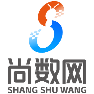 深圳市尚數(shù)網(wǎng)科技 數(shù)字浪潮中的專(zhuān)業(yè)引航者